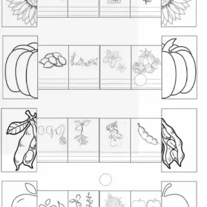 کاربرگ گیاهان برای پیش دبستانی