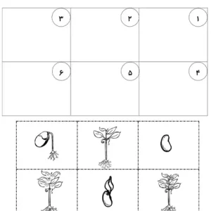 پيش دبستاني کاربرگ گیاهان