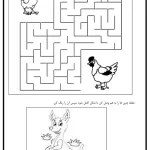 کاربرگ هوش، دقت و ماز مسیریابی