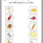 کاربرگ غذای حیوانات برای پیش دبستانی