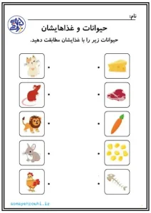 کاربرگ غذای حیوانات برای پیش دبستانی 6 کاربرگ غذای حیوانات برای پیش دبستانی