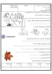 ارزشیابی پایانی علوم اول ابتدایی