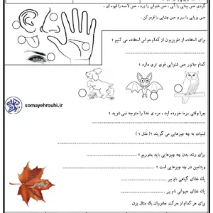 ارزشیابی پایانی علوم اول ابتدایی