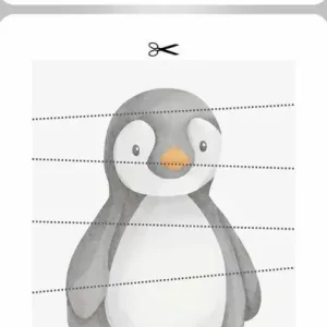 کاربرگ تقویت حافظه دیداری