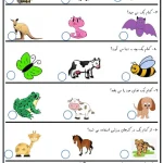 کاربرگ تابستانه علوم آشنایی با حیوانات