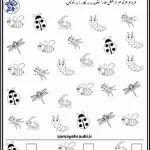 شمارش اعداد ریاضی پایه اول