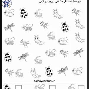 شمارش اعداد ریاضی پایه اول