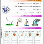کاربرگ علوم حواس پنجگانه پایه سوم