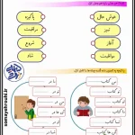 کاربرگ هم معنی کلمات فارسی کلاس سوم