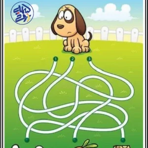 دست ورزی ماز پیش دبستانی