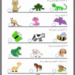 کاربرگ علوم جانوران تابستانه پایه دوم