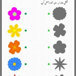 کاربرگ هوش و تشخیص سایه پیش دبستان