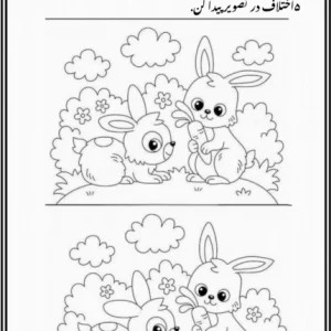 کاربرگ تشخیص اختلاف (هوش)پیش دبستان