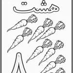 کاربرگ رنگ آمیزی عدد 8 پیش دبستان