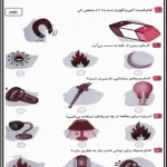 کاربرگ تابستانه علوم پایه اول