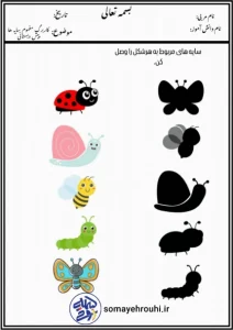 کاربرگ مفهوم سایه ها علوم پیش دبستان