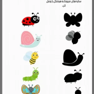 کاربرگ مفهوم سایه ها علوم پیش دبستان