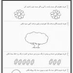 آزمون سنجش ورودی پایه اول