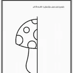 واحد کار تقارن پیش دبستانی