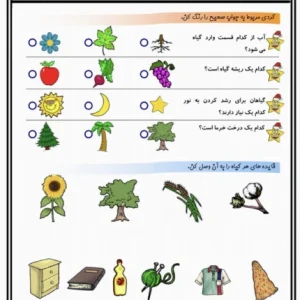 کاربرگ علوم دوم