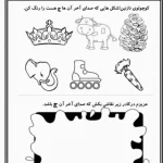 کاربرگ تابستانه  نشانه ج  پیش دبستان