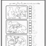 کاربرگ رایگان دقت و هوش پایه اول