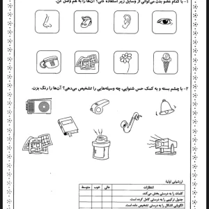 کاربرگ علوم اول دبستان