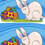 کاربرگ تشخیص تفاوت تصاویر