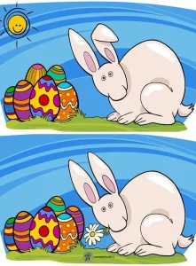 کاربرگ تشخیص تفاوت تصاویر