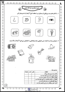 کاربرگ علوم اول دبستان _ هوش و_ دقت