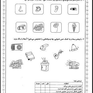 کاربرگ علوم اول دبستان _ هوش و_ دقت