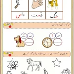 کاربرگ نشانه س