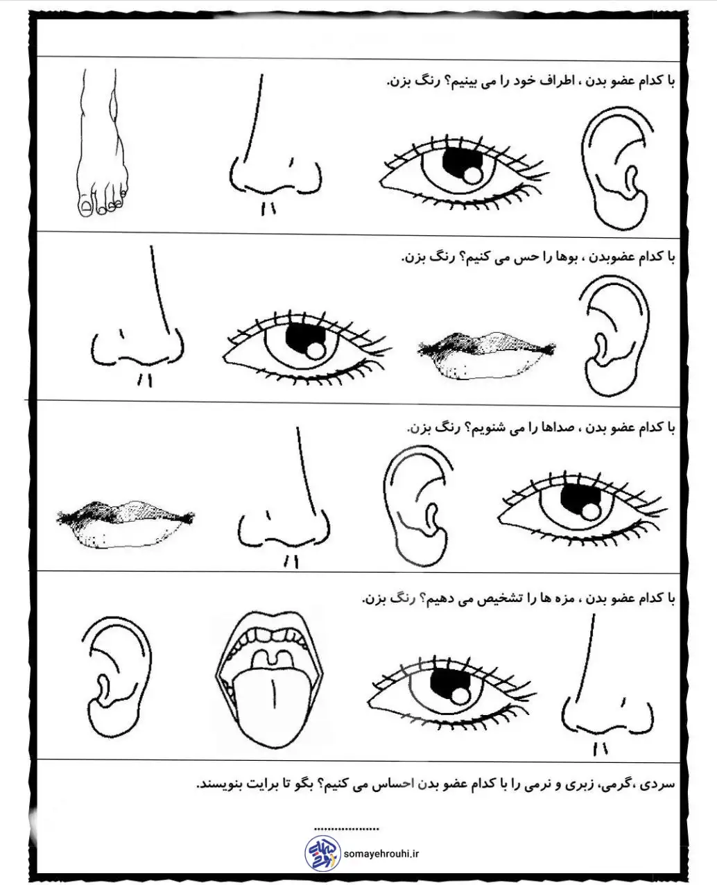 سوالات علوم فصل ۱ و ۲ پایه سوم ابتدایی با جواب کاربرگ های علوم درس ۱ پایه دوم دبستان