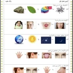 آزمون علوم پایه اول دبستان