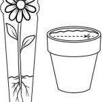 واحد کار پیش دبستانی