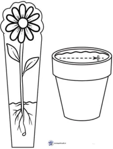 دانلود واحد کار گیاهان پیش دبستانی 1 واحد کار پیش دبستانی