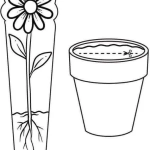 واحد کار پیش دبستانی