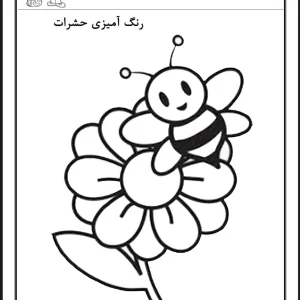 رنگ آمیزی حشرات