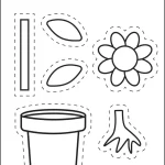 کاربرگ اجزای گیاهان