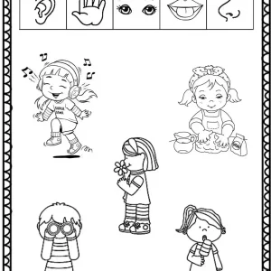 کاربرگ حواس پنجگانه دوم دبستان