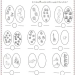 کاربرگ ریاضی اول دبستان