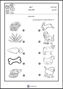کاربرگ علوم غذای جانوران