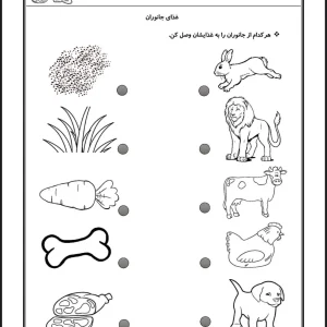 کاربرگ علوم غذای جانوران