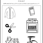 کاربرگ علوم پیش دبستان