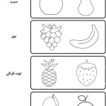 کاربرگ میوه برای پیش دبستانی