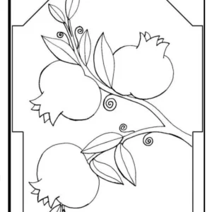 کاربرگ روز انار