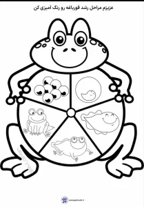 کاربرگ چرخه زندگی قورباغه 6 کاربرگ چرخه زندگی قورباغه