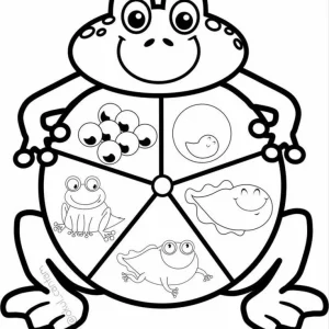 کاربرگ چرخه زندگی قورباغه