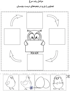 کاربرگ چرخه ی زندگی مرغ