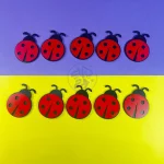 کفشدوزک چوبی آموزشی